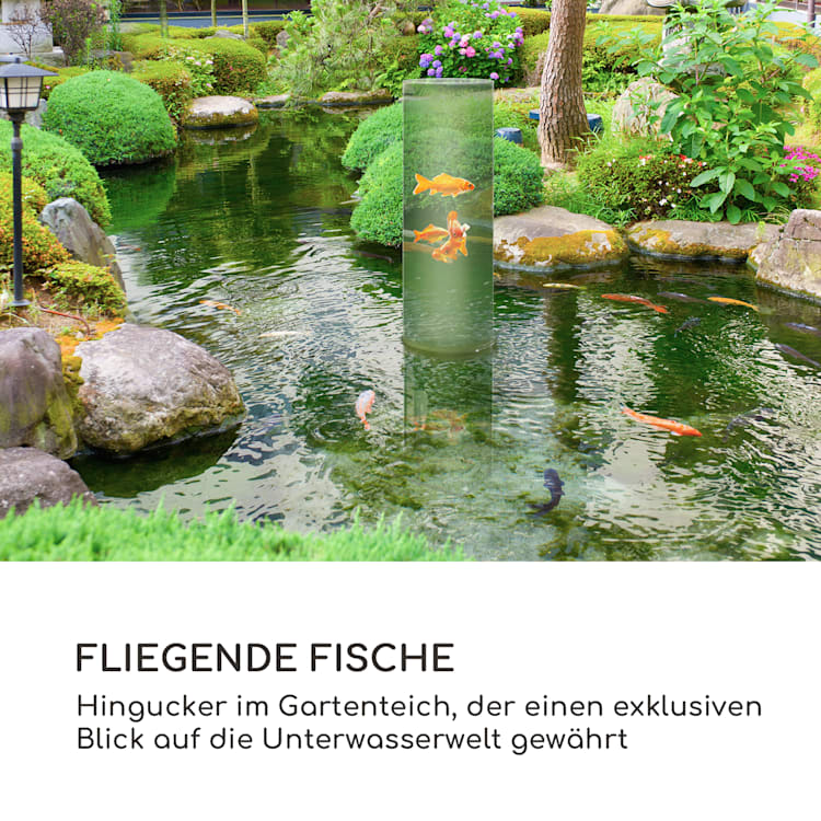 Skydive 100 Fischturm