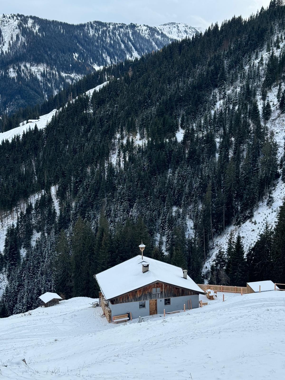 Almchalet Steinbergkogel Ferienwohnung für 4 Personen
