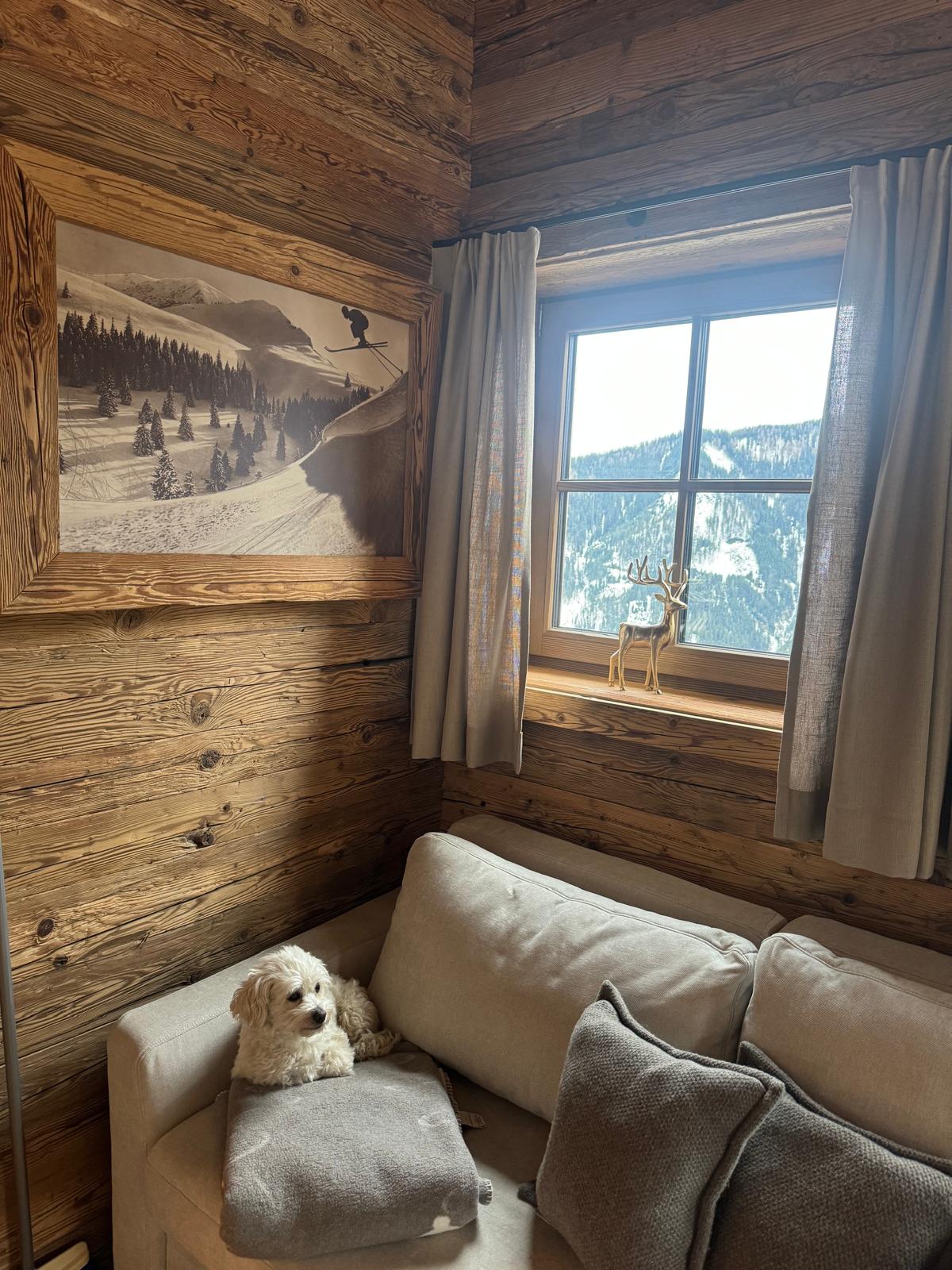 Almchalet Steinbergkogel Ferienwohnung für 4 Personen