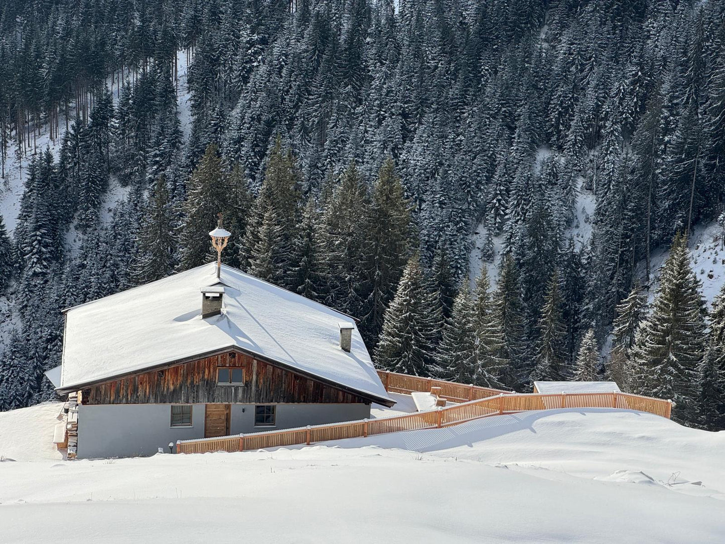 Almchalet Steinbergkogel Ferienwohnung für 4 Personen