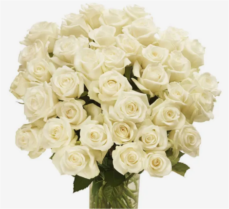 Luxuriöse weiße Rosen Blumengruß