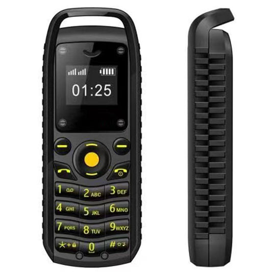 Mini dual-card mobile phone with button