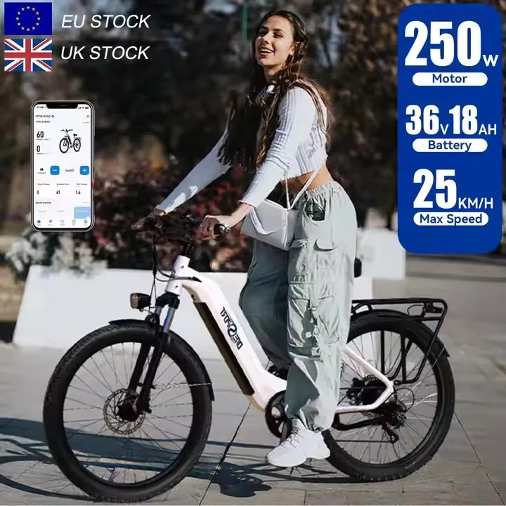 27,5 Zoll 250W 36V 18,2AH City Elektrofahrrad unter 500€