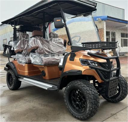 6 Personen Golfcar Variante 1 High Performance, Teilzahlung möglich, Lieferzeit ca 15 WTage